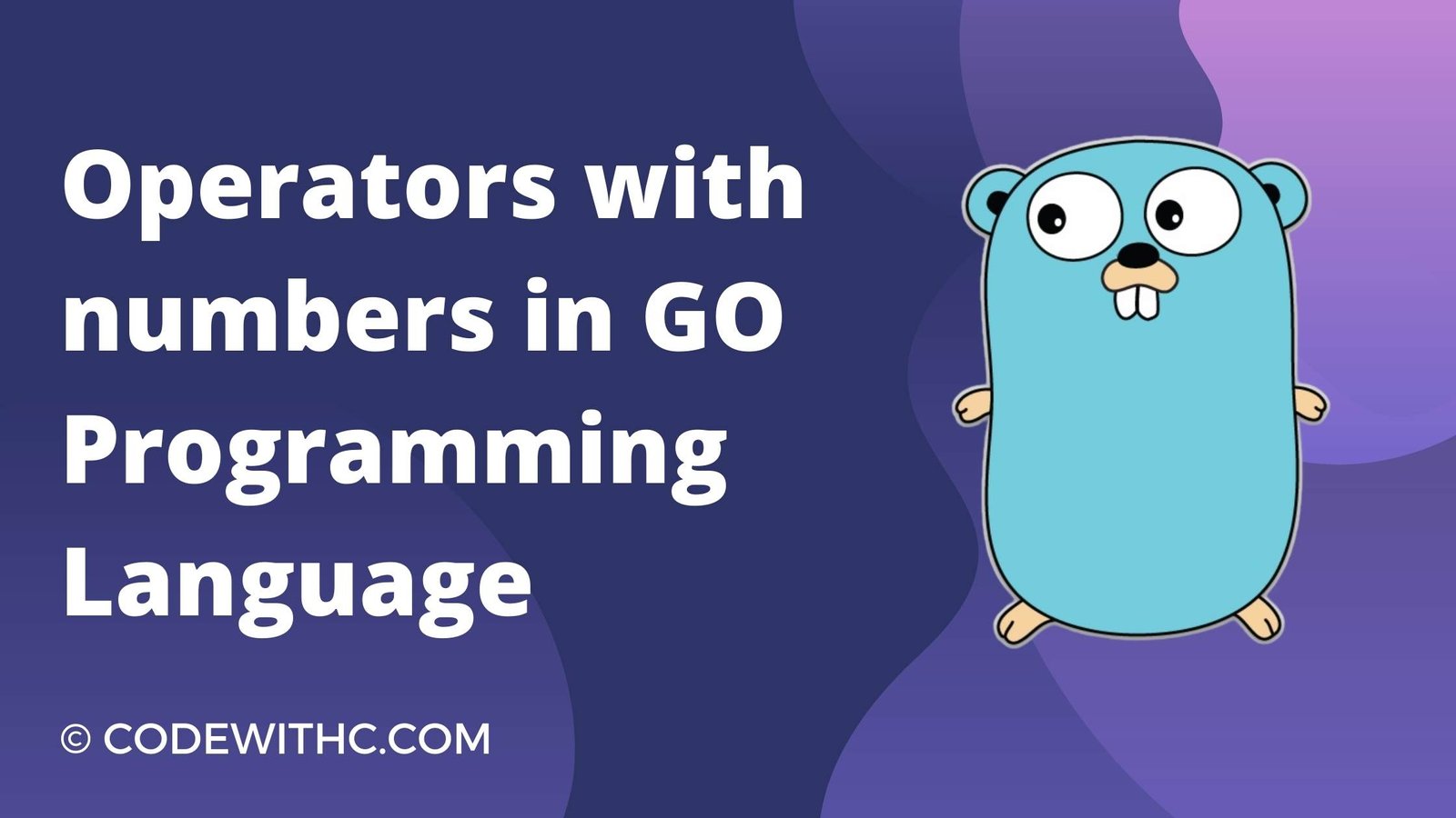 How to use Operators with numbers in GO programming language